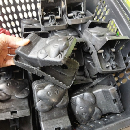 Z586 alat perangkap jebakan tangkap tikus model joni mouse trap