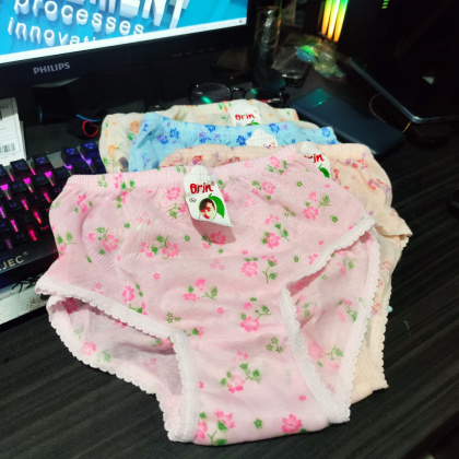 Z029 ORN CELANA DALAM WANITA ORIN CD CEWEK