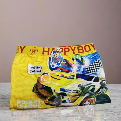 Z407 4-10th L BOXER ANAK COWOK HAPPYBOY Caleenew PAUD TK SD CD celana dalam boxer anak