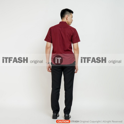 Z715 PLDV Hem polos pria lengan pendek