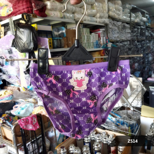 Z514 1-3TH Celana dalam anak cewek bunga list